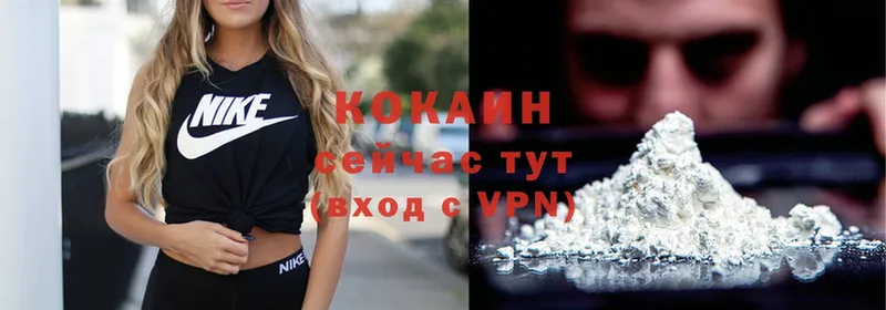 Кокаин VHQ  купить  цена  Камышин 