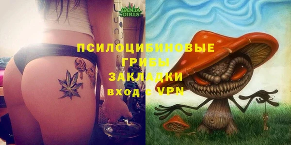 гидра Нягань