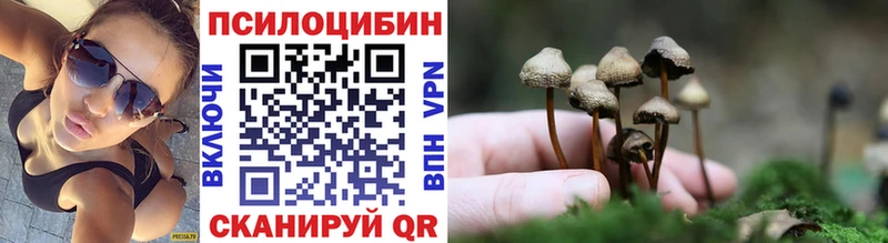 darknet Telegram  Камышин  Галлюциногенные грибы MAGIC MUSHROOMS  KRAKEN вход 