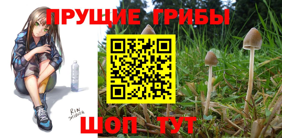 Галлюциногенные грибы GOLDEN TEACHER Камышин