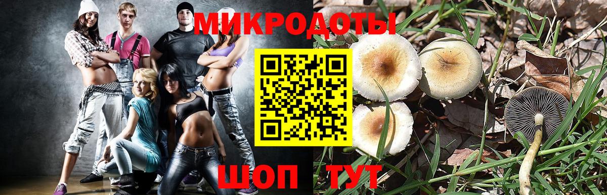 Галлюциногенные грибы ЛСД Камышин