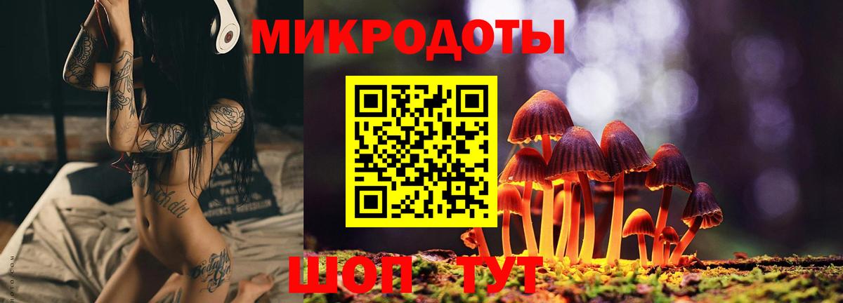 Камышин  Галлюциногенные грибы Psilocybine cubensis  Вход с VPN 